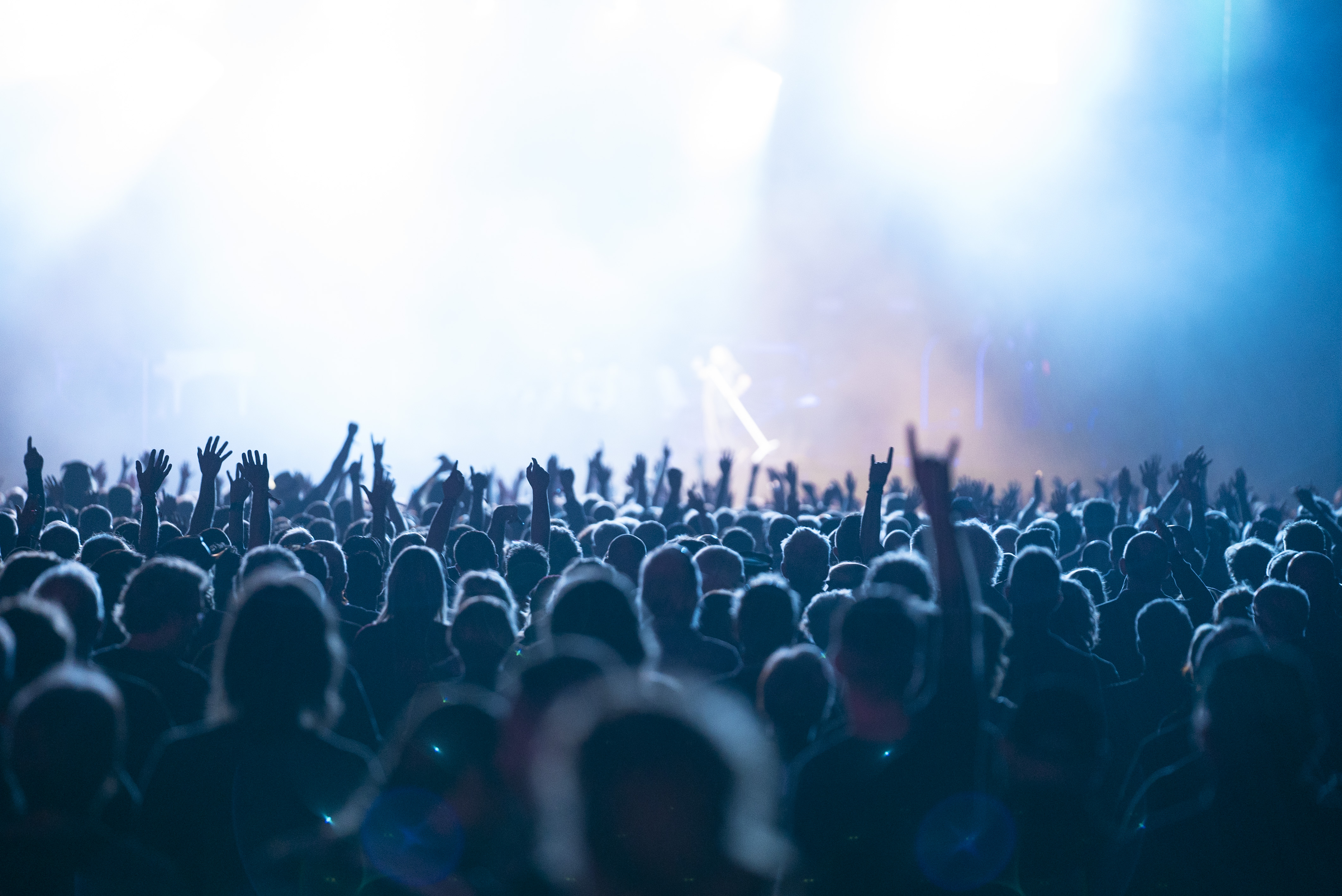 image of crowd at a Skynyrd concert