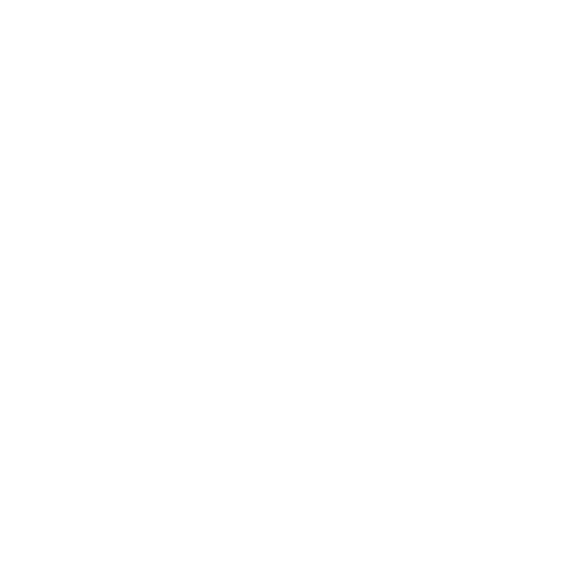 NES logo