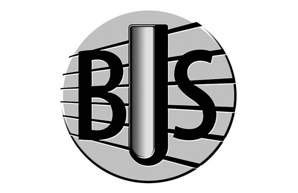 BJS Steel Guitar Bars 
