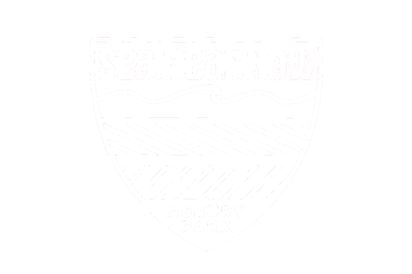 sea hear now festival