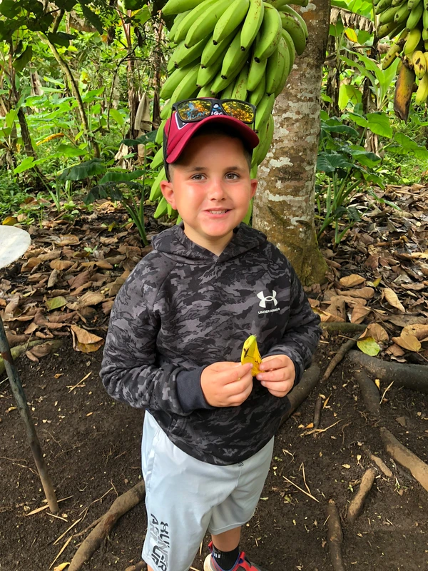 At a banana plantation.