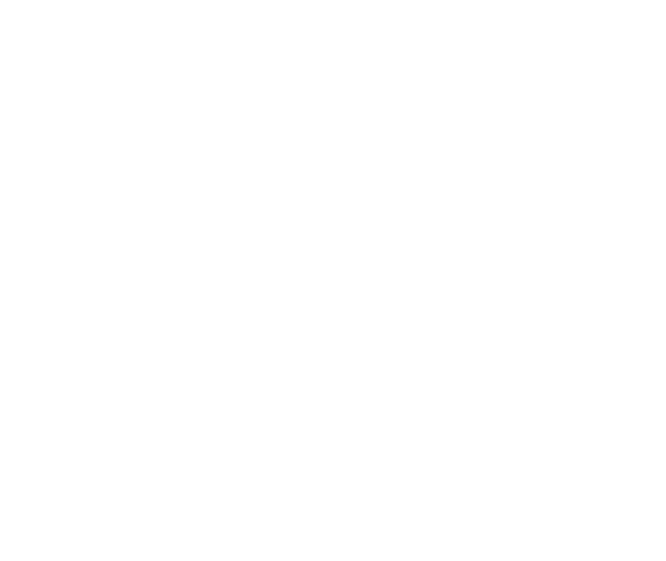BMI logo