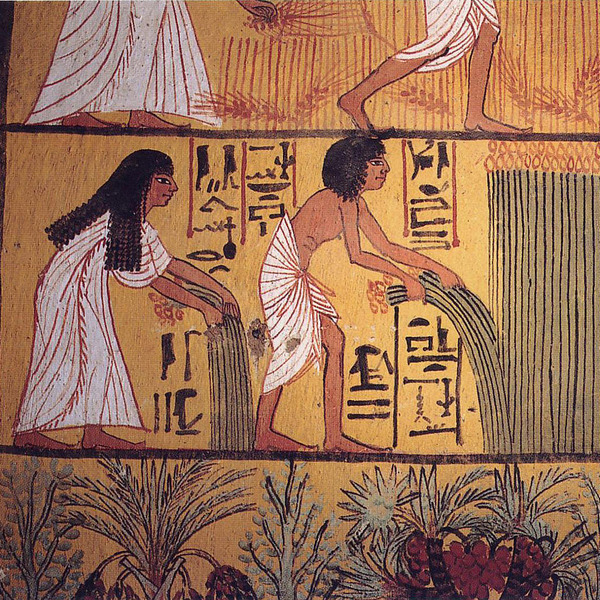 An early Ramesside Period mural painting from Deir el-Medina tomb depicts an Egyptian couple harvesting crops.