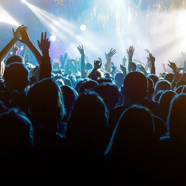 image of a crowd at a live concert