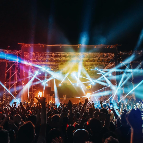 crowd enjoying a concert event 