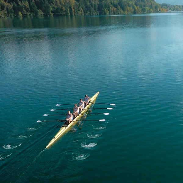 Four male rowers sculling on lake in sunshine.
